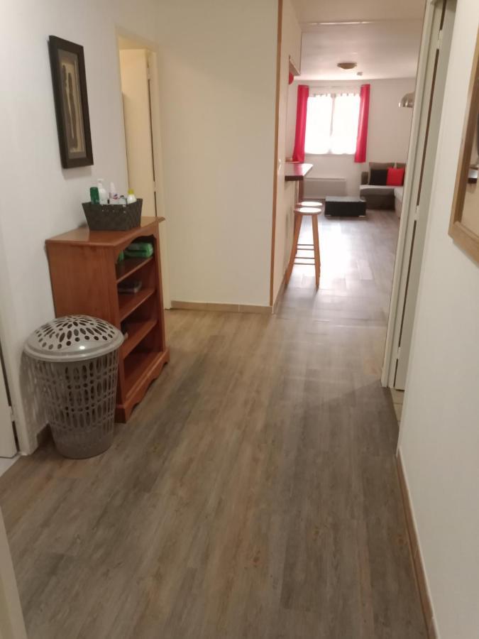 Superbe T3 De 85 Metres Carres Apartment Toulouse Exterior photo