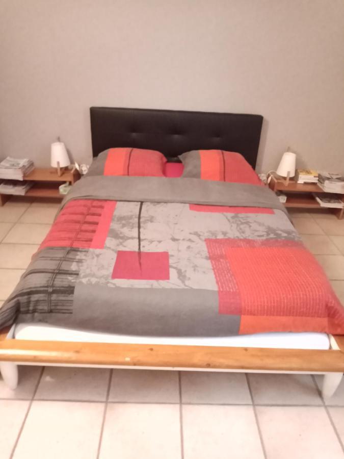 Superbe T3 De 85 Metres Carres Apartment Toulouse Exterior photo